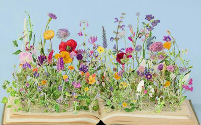 foto-boek-bloemen