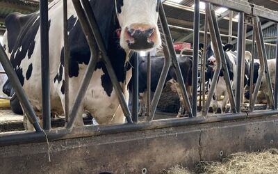 foto-column-april-2026