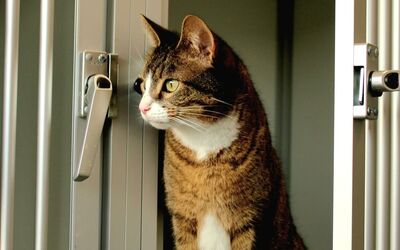 foto-column-februari-2026-