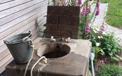 img8897-(002)-water-geven-in-t