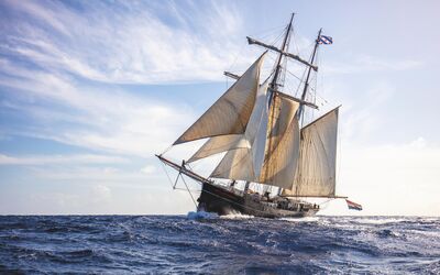 masterskip-wylde-swan-(1)