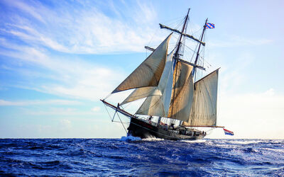 masterskip-wylde-swan-(1)