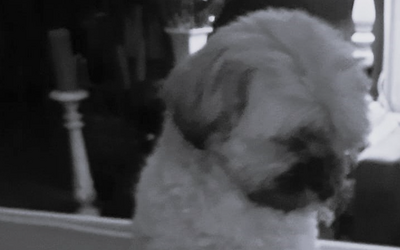 schermafbeelding-2026-03-24-om