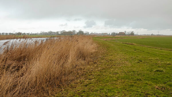 2026-02-17-kuierpaad-jirnsumer