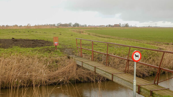 2026-02-17-kuierpaad-jirnsumer