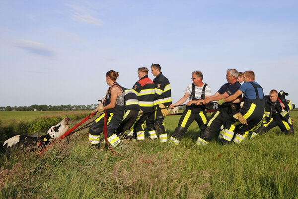 brandweer-akkrum-nes-koe