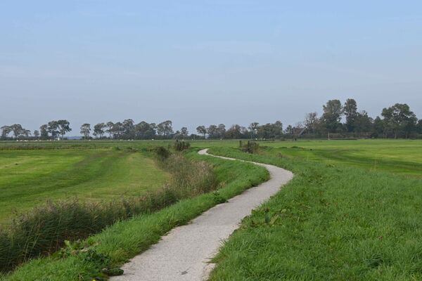 dsc9077bvanoyenlr