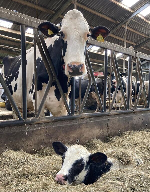 foto-column-april-2026