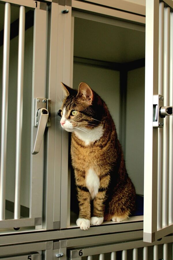 foto-column-februari-2026-