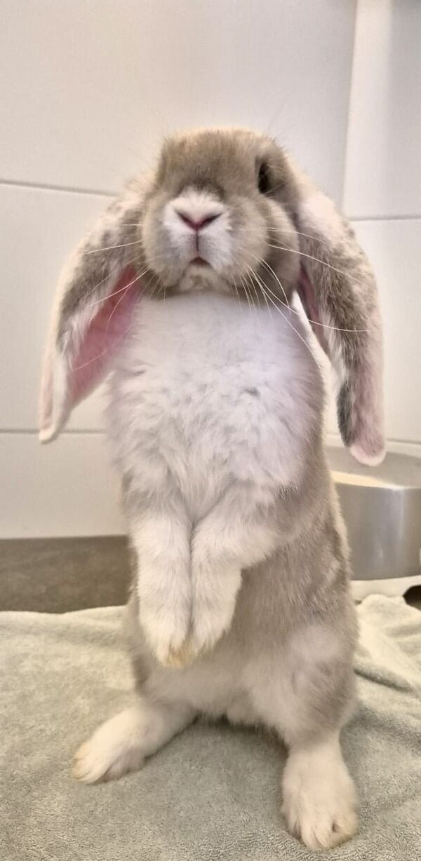 foto-column-maart-2026