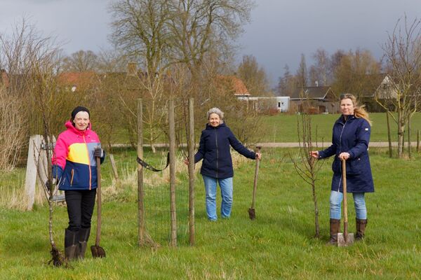 kopie-van-20210327perenboom