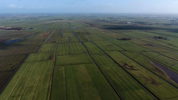 luchtfoto-soarremoarrepolder