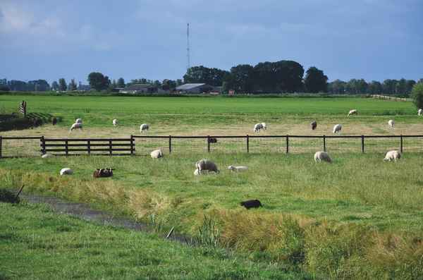 schermafbeelding-2021-09-14-om