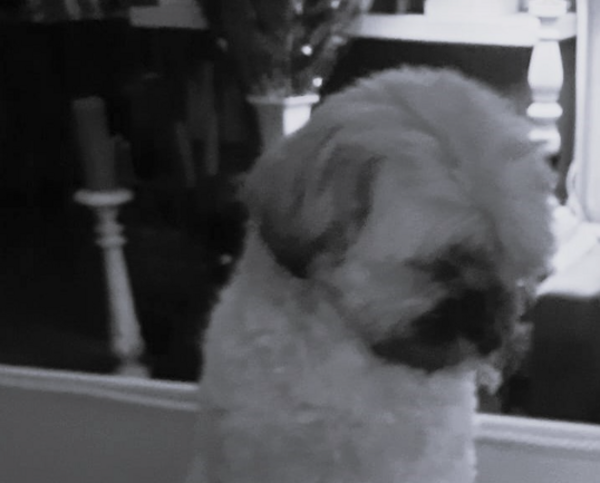 schermafbeelding-2026-03-24-om