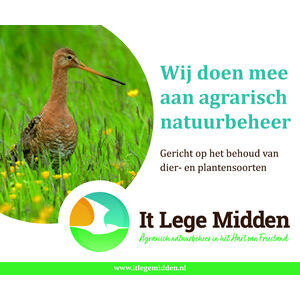 bord-it-lege-midden30x25